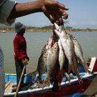 China señaló que el lote detectado que provenía de Ecuador contenía rastros de COVID-19 en sus empaques.