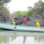 Escenario. Custodios observan una retroexcavadora en un sector del golfo de Guayaquil. La tala de manglar sigue, pese a que ya se denunció.