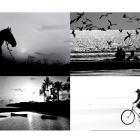 Fotografías parte del libro.