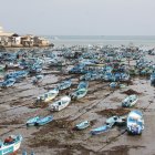 Hecho. El fenómeno se registra desde hace más de tres días e inquieta a los trabajadores, quienes afirman que no es la primera vez que ocurre.