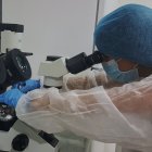 Investigación. El proyecto se basa en el trasplante de mitocondrias de células madre para regenerar tejidos. Y, a largo plazo, ralentizar su envejecimiento.