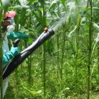 En el mercado crecen las quejas por un reciente cobro del IVA en insumos agrícolas.