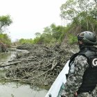Hecho. Un agente del GIR observa una tala de manglar en el golfo.
