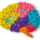 Las autopsias encontraron ARN del SARS-CoV-2 y de varias proteínas en el cerebro y la nasofaringe, y partículas de virus intactas en la nasofaringe.