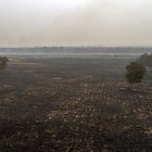Fotografía de un incendio el lunes 31 de agosto de 2020 en las cercanías de Cuiabá, estado de Mato Grosso (Brasil).