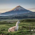Los países andinos suscriben una carta por el desarrollo sostenible.