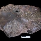 Meteorito hallado en Oklahoma, Estados Unidos.