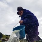 Tradición. Dolores Toalombo, riega la chacra (tierra), de esta manera se crea una fina lámina de sal.
