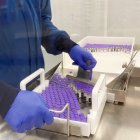 Pearl River (United States), 30/11/2020.- A handout photo made available on 30 November 2020 by pharmaceutical company Pfizer shows vials of Covid-19 vaccine in an undisclosed laboratory on16 November 2020. According to reports Pfizer and German pharmaceutical company BioNTech have asked the US Federal Drug Administration for an Emergency Use Authorization to begin distributing the vaccine. The FDA is scheduled to consider the request on 10 December 2020. (Estados Unidos) EFE/EPA/PFIZER HANDOUT HANDOUT EDITORIAL USE ONLY/NO SALES