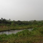 Previo a la construcción del Daular es necesario realizar una seri de estudios que confirmen que no se verá afectado el entorno.