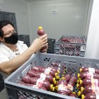 La Morada vende principalmente colada morada todo el año.

PERIODISTA : JUAN DANIEL PONCE 

FECHA : 17/11/2020 

Agencia (ag-extra)