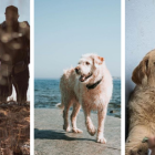 La vida de Arthur cambió en 2014 y hasta inspiró una película.