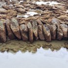 Estas hileras de piedras quedan al descubierto cuando el agua del mar desciende. Son rocas que están ancladas y forman parte de la riqueza ancestral manabita.