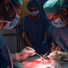 Una imagen de la intervención para el transplante de útero en Barcelona, España.