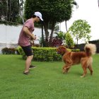Los perros se incluyeron en actividades físicas de los custodios.