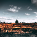 Sin aún haber resuelto la crisis sanitaria, el futuro inmediato no es nada halagüeño.