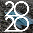 Un año marcado por la pandemia y aparentemente en pausa.