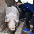 Juan Carlos Juca es el protagonismo de un viral que emocionó al país.