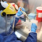 El UEESLab realiza pruebas diarias de diagnóstico y también realiza secuenciación del genoma de los virus detectados.