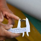 Las semillas de ostras miden un centimetro