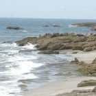 El hecho ocurrió en la playa El Pelado, en Playas.