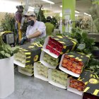 Desde noviembre, las rosas ingresaron al sistema del SGP. Antes debían pagar un 6,8% de arancel