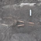 El hallazgo de doce osamentas en una "cancha" inca en Latacunga, puede arrojar luz sobre los usos y formas de vida en el periodo intercolonial andino.