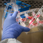 Rusia inicia los análisis clínicos de una vacuna de una sola dosis
Una dosis de la vacuna rusa contra la covid-19, Sputnik-V en un centro de vacunación de Moscú.