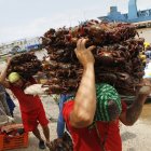 Vendedores de cangrejos retoman labores tras la finalización de la veda.