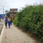 Maleza. En el centro del cantón Playas son decenas los solares que permanecen con maleza y basura. El problema se torna inseguro debido a la escasa iluminación de algunas calles y callejones.
