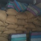 La incautación de 1.3 toneladas de cocaína hallada entre sacos de cacao, en un contenedor en el Puerto Marítimo, figura entre los golpes dados por la Policía a narcos y delincuentes en estos días.