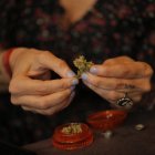 Fotografía fechada el 14 de diciembre de 2020 de la actriz, comunicadora y activista Francesca Brivio mientras enseña una muestra de cannabis durante una entrevista con Efe en Lima (Perú).