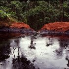 La muestra cuenta con fotos antiguas de zonas que se han visto afectadas por la explotación.