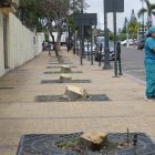 Ambiente. Este es el estado en el que quedaron los árboles ubicados al ingreso de Puerto Santa.