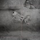 Numerosas piezas del periodo del Desarrollo Regional fueron hallados en el sector.