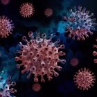 Coronavirus
GOBIERNO DE ASTURIAS
  (Foto de ARCHIVO)
14/11/2020