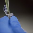 Detalle de frascos con muestras de laboratorio el 25 de enero de 2021, en San José (Costa Rica).