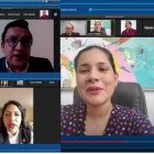 El pleno del Consejo de Participación se reunió este 26 de enero de 2021 y el tema de las vacunas fue abordado por los consejeros.