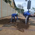 Las especias se sembraron esta semana en el lugar.