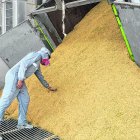 Durante la pandemia la demanda del producto se incrementó. Ahora el consumo se ha normalizado entre los ecuatorianos.