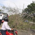 El hecho. Ocurrió en el sentido Santa Elena-Guayaquil, pasadas las 09:00.