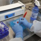 Investigadores trabajan con muestras de la Covid-19 ayer, en el Laboratorio de Diagnóstico en Enfermedades Emergentes y Reemergentes (LaDEER) de la Universidad de Guadalajara (UDG).