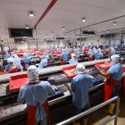 Desde el año 2020 hubo precios más bajos en marcas de atún.