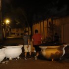 Oscuridad. Aunque las lámparas sí funcionan hay peatonales con poca iluminación, los árboles tapan la luz de los faros, de allí que la primera medida será podar los árboles.