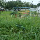 Este es el panorama que se refleja en algunas áreas verdes de La Floresta 1, en el sur de la ciudad.