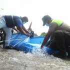 Al menos 190 piscinas fueron desarmadas en Guayaquil durante el feriado de carnaval.