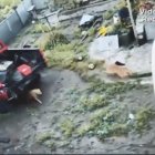 En redes sociales circuló un video de un supuesto maltrato animal.