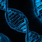 El equipo internacional de investigadores exploró con elevada resolución 64 genomas de personas de los cinco continentes e identificó "más de 100.000 variantes estructurales".