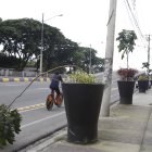 Situación. Al menos cuatro árboles están inclinados a lo largo de la arteria.