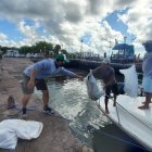 Varios hombres descargaron hoy bolsas con basura recogida del mar, durante una jornada de limpieza ecológica en Islas Galápagos.